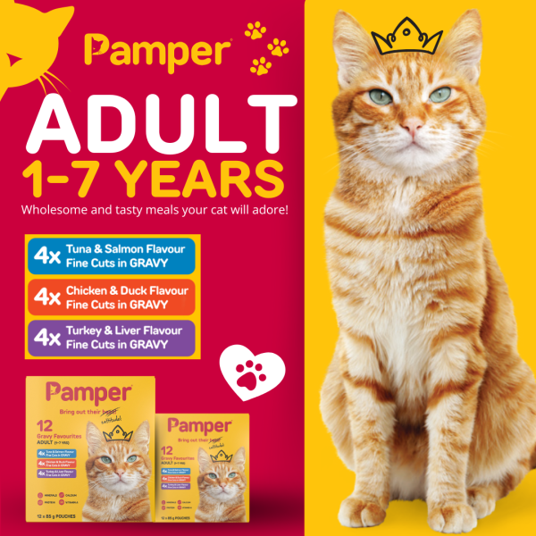 Pamper Fine Cuts Cat Multipack Gravy Favourites 85gm X 12 - Image 3