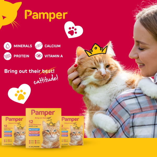 Pamper Fine Cuts Cat Multipack Gravy Favourites 85gm X 12 - Image 4
