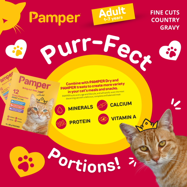 Pamper Fine Cuts Cat Multipack Gravy Favourites 85gm X 12 - Image 6