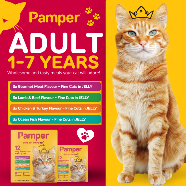Pamper Fine Cuts Cat Multipack Jelly Favourites 85gm X 12 - Image 3