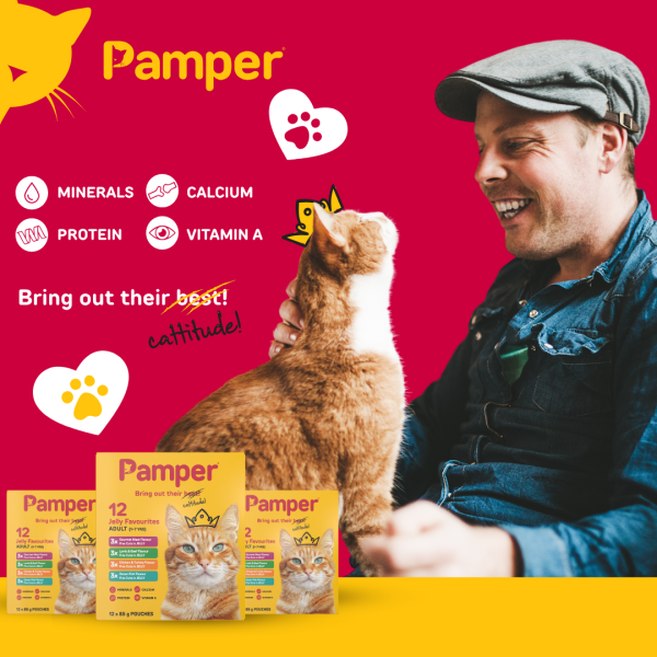 Pamper Fine Cuts Cat Multipack Jelly Favourites 85gm X 12 - Image 4