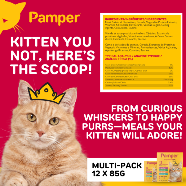 Pamper Fine Cuts Cat Multipack Jelly Favourites 85gm X 12 - Image 5
