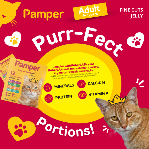 Pamper Fine Cuts Cat Multipack Jelly Favourites 85gm X 12 - Image 6