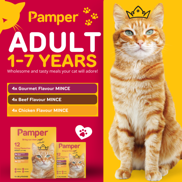 Pamper Cat Multipack Mince Favourites 85gm X 12 - Image 3