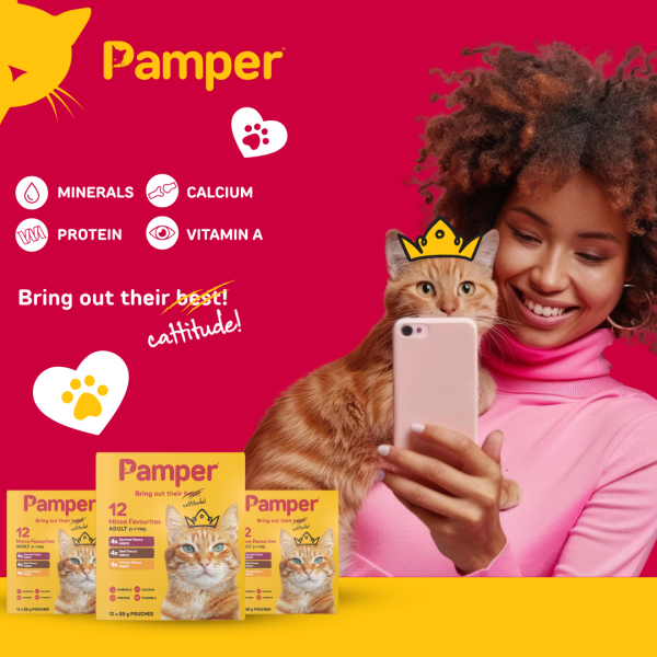 Pamper Cat Multipack Mince Favourites 85gm X 12 - Image 4
