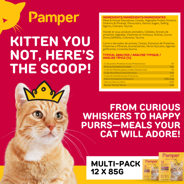 Pamper Cat Multipack Mince Favourites 85gm X 12 - Image 5