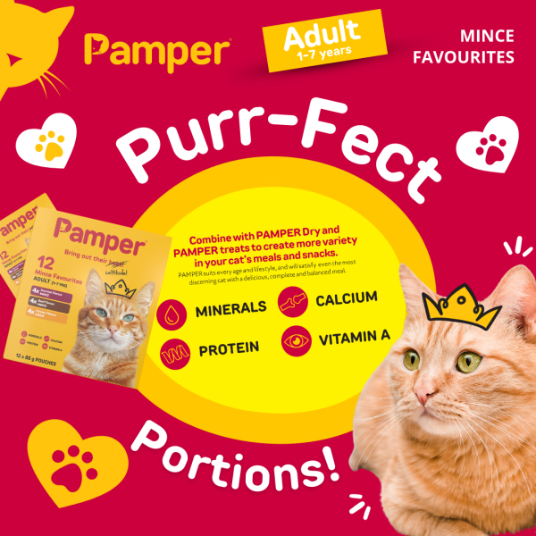 Pamper Cat Multipack Mince Favourites 85gm X 12 - Image 6