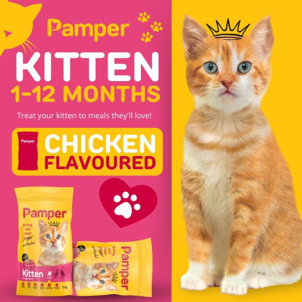 Pamper Kitten Dry Cat Food 1kg - Image 2