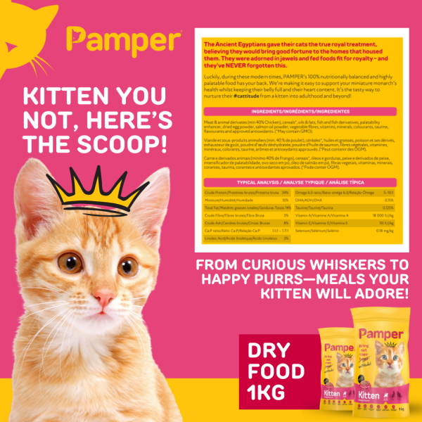 Pamper Kitten Dry Cat Food 1kg - Image 4