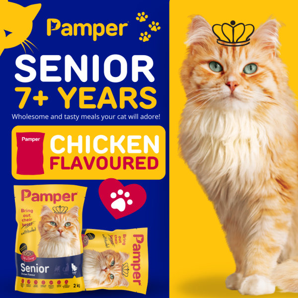 Pamper Senior Dry Cat Food 2kg - Image 2
