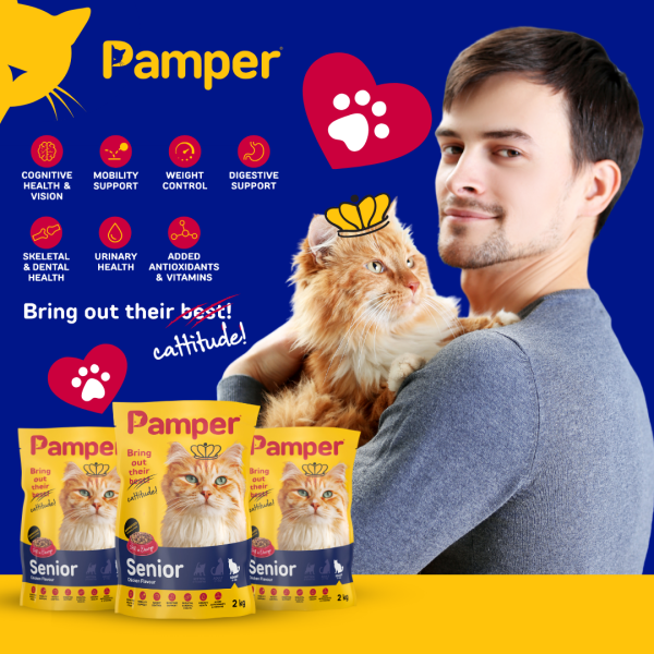 Pamper Senior Dry Cat Food 2kg - Image 3