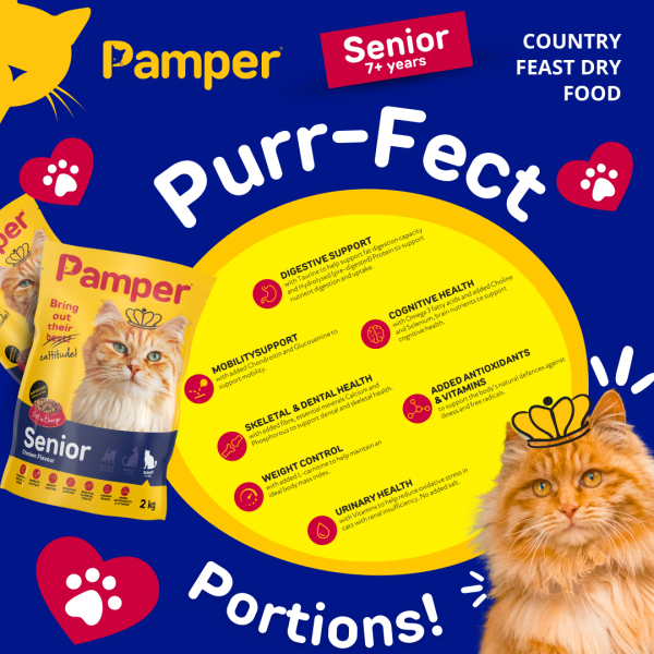 Pamper Senior Dry Cat Food 2kg - Image 5