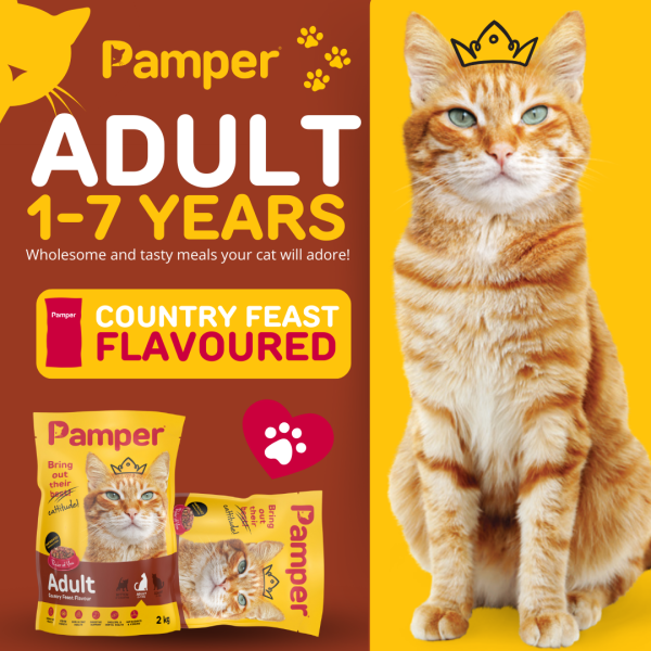 Pamper Deep Country Feast Flavour Adult Dry Cat Food 2kg - Image 2