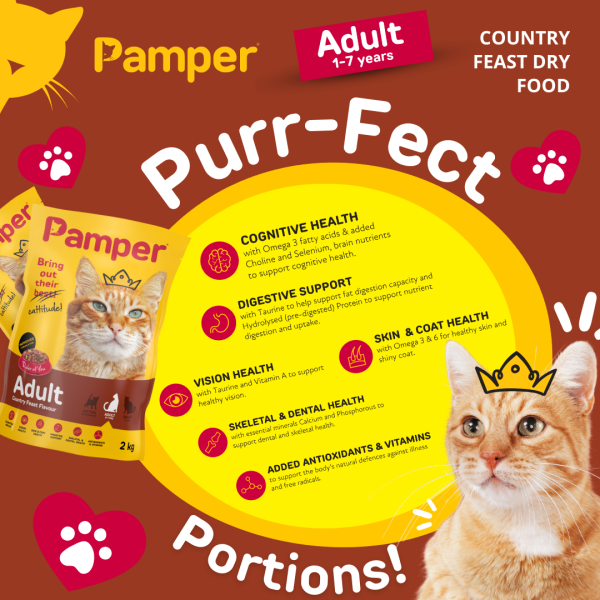 Pamper Deep Country Feast Flavour Adult Dry Cat Food 2kg - Image 5