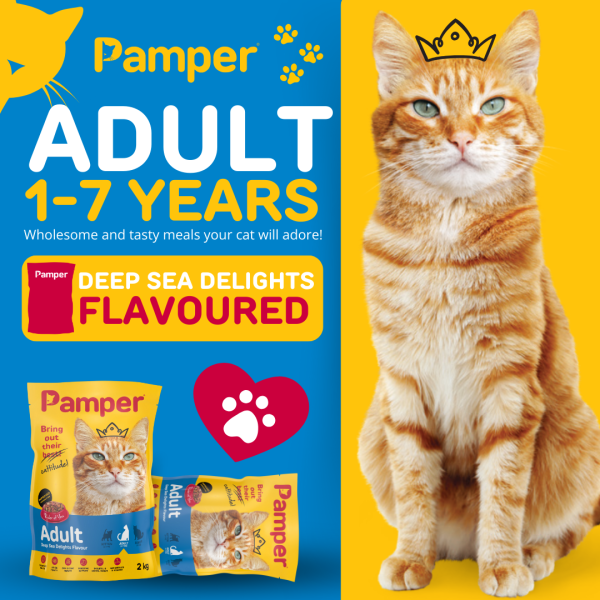 Pamper Deep Sea Delights Adult Dry Cat Food 2kg - Image 2