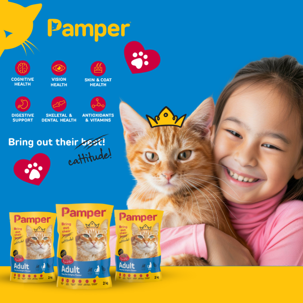 Pamper Deep Sea Delights Adult Dry Cat Food 2kg - Image 3
