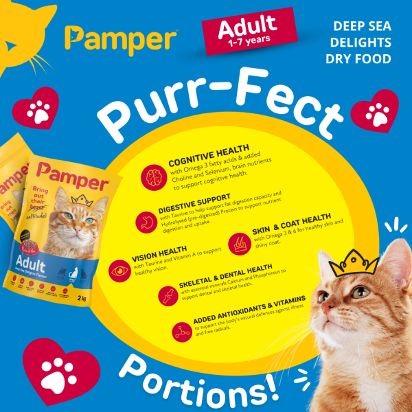 Pamper Deep Sea Delights Adult Dry Cat Food 2kg - Image 5