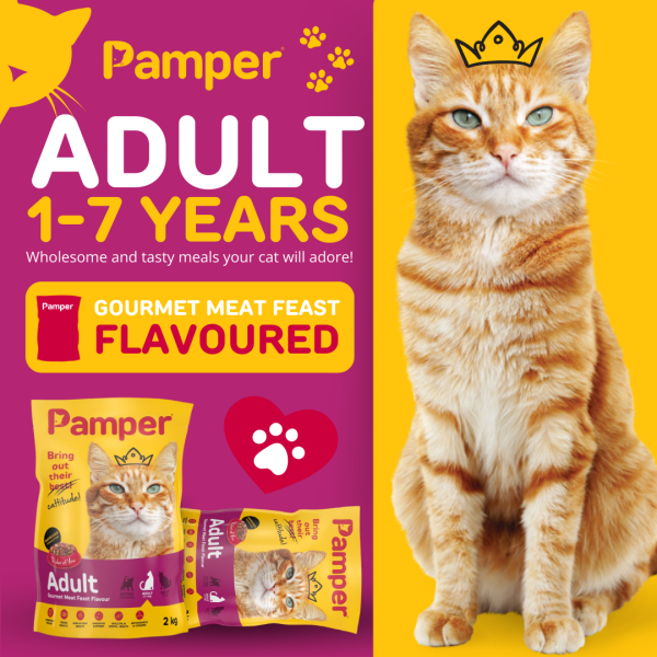 Pamper Gourmet Meat Feast Flavour Adult Dry Cat Food 2kg - Image 2