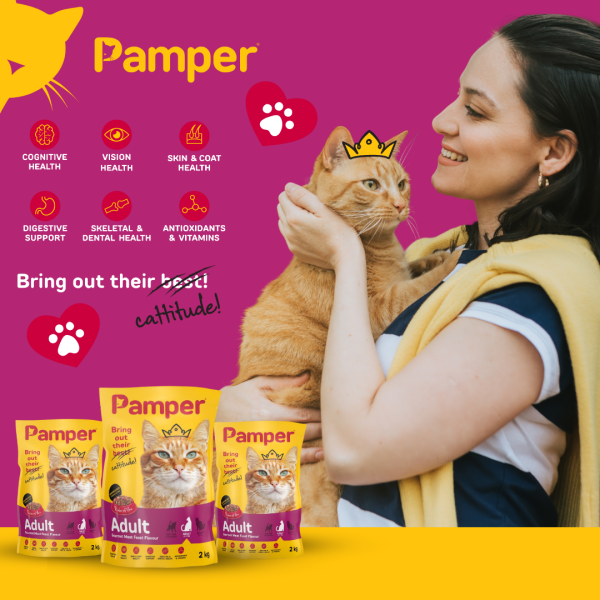 Pamper Gourmet Meat Feast Flavour Adult Dry Cat Food 2kg - Image 3