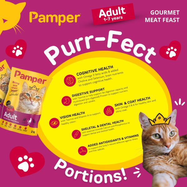Pamper Gourmet Meat Feast Flavour Adult Dry Cat Food 2kg - Image 5
