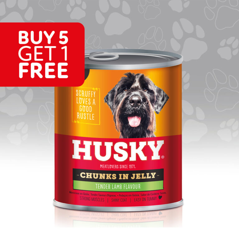 Husky puppy sale food