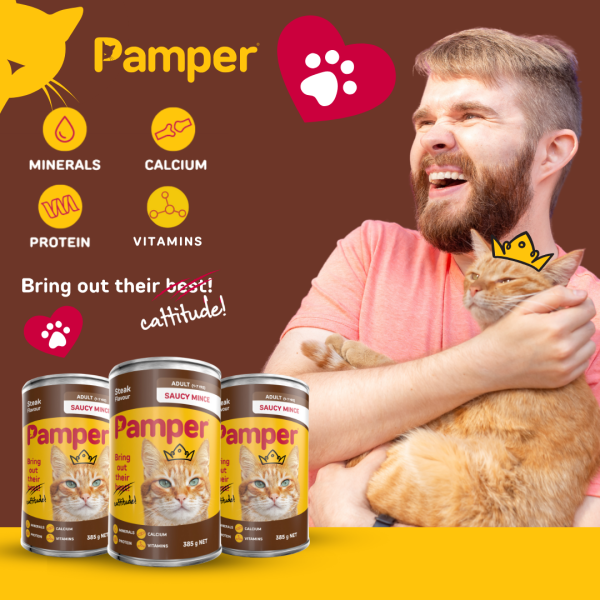 Pamper Saucy Mince Steak Wet Cat Food 385gm x 12 - Image 3