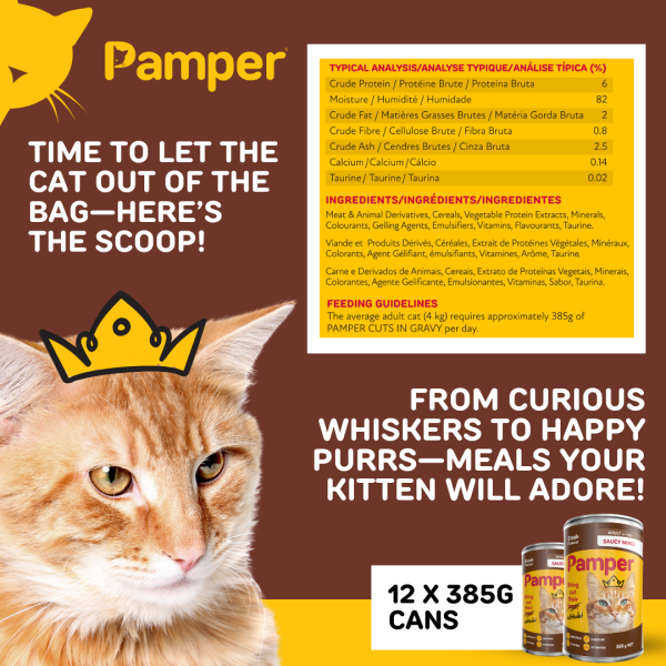 Pamper Saucy Mince Steak Wet Cat Food 385gm x 12 - Image 4
