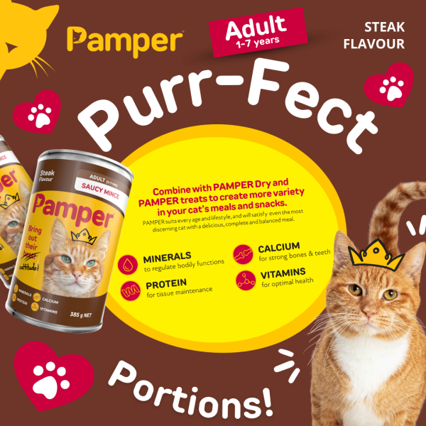 Pamper Saucy Mince Steak Wet Cat Food 385gm x 12 - Image 5
