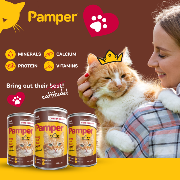 Pamper Beef Cuts In Gravy Wet Cat Food 385gm X 12 - Image 3