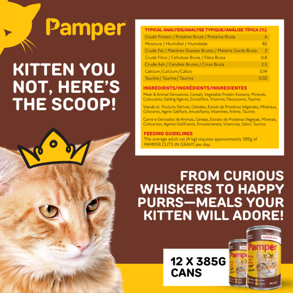 Pamper Beef Cuts In Gravy Wet Cat Food 385gm X 12 - Image 4