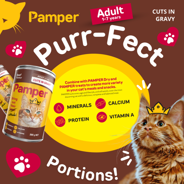 Pamper Beef Cuts In Gravy Wet Cat Food 385gm X 12 - Image 5