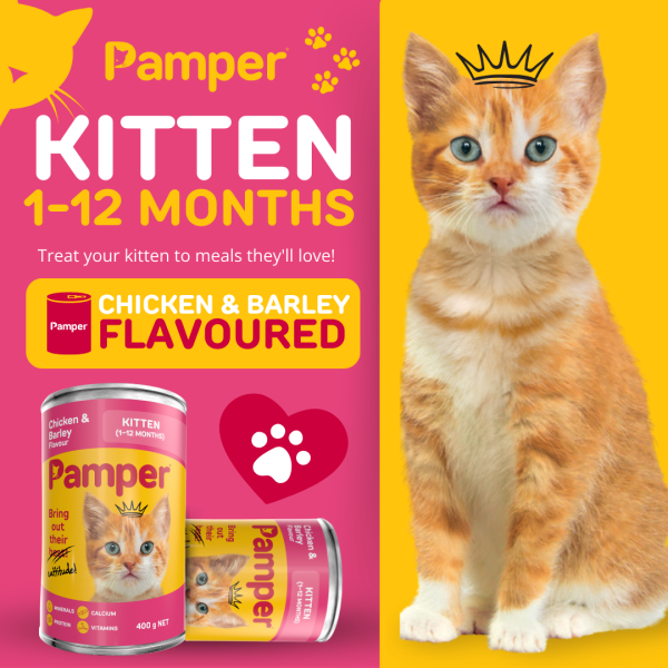 Pamper Kitten Chicken & Barley Wet Cat Food 400gm x 12 - Image 2