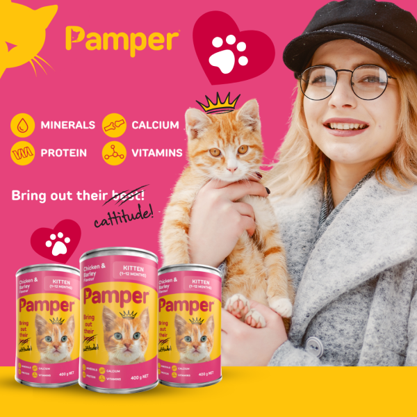 Pamper Kitten Chicken & Barley Wet Cat Food 400gm x 12 - Image 3
