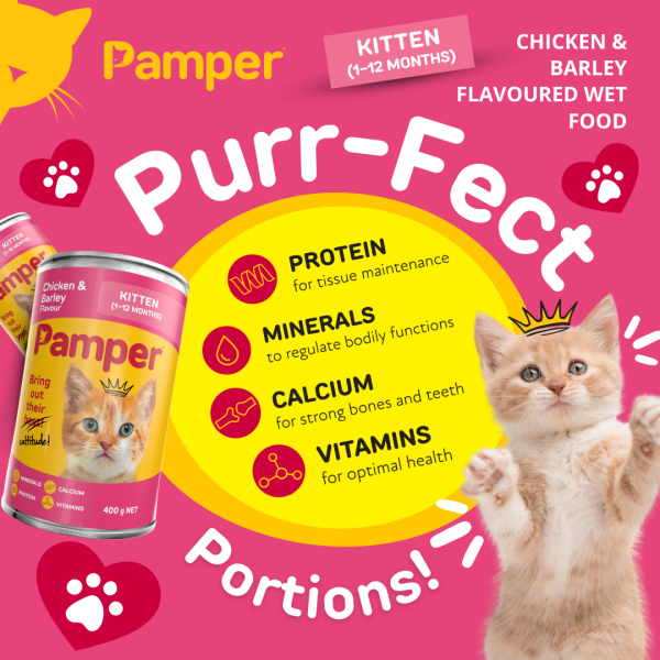 Pamper Kitten Chicken & Barley Wet Cat Food 400gm x 12 - Image 5