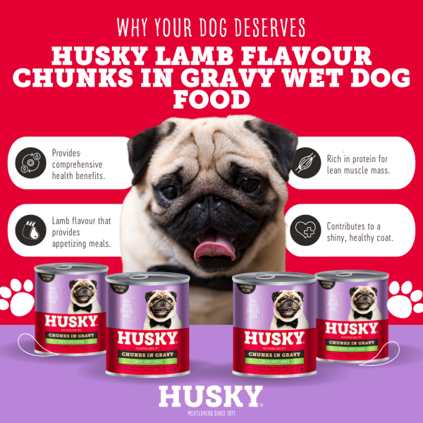 Husky Chunks In Gravy Lamb Wet Dog Food 775gm x 6 - Image 2