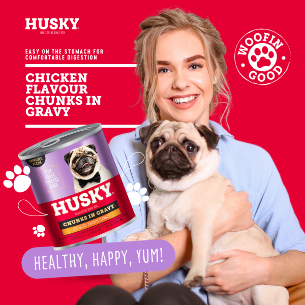 Husky Chunks In Gravy Chicken Wet Dog Food 775gm x 6 - Image 5