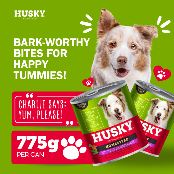 Husky Homestyle Beef Pasta Wet Dog Food 775gm x 6 - Image 3