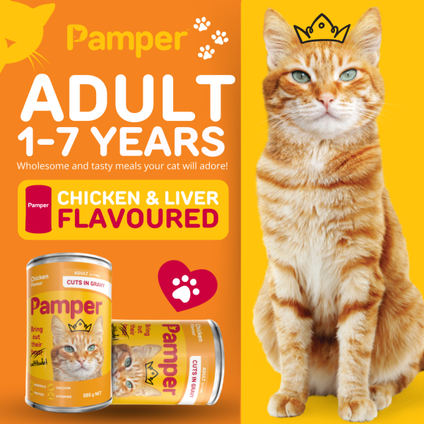Pamper Chicken Cuts In Gravy Wet Cat Food 385gm X 12 - Image 2