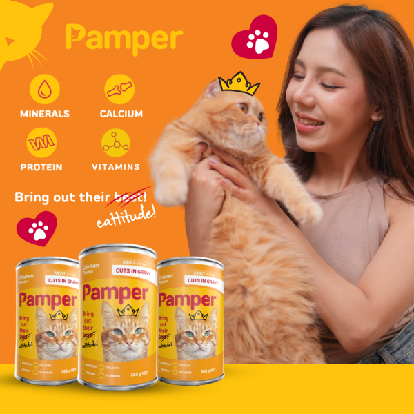 Pamper Chicken Cuts In Gravy Wet Cat Food 385gm X 12 - Image 3