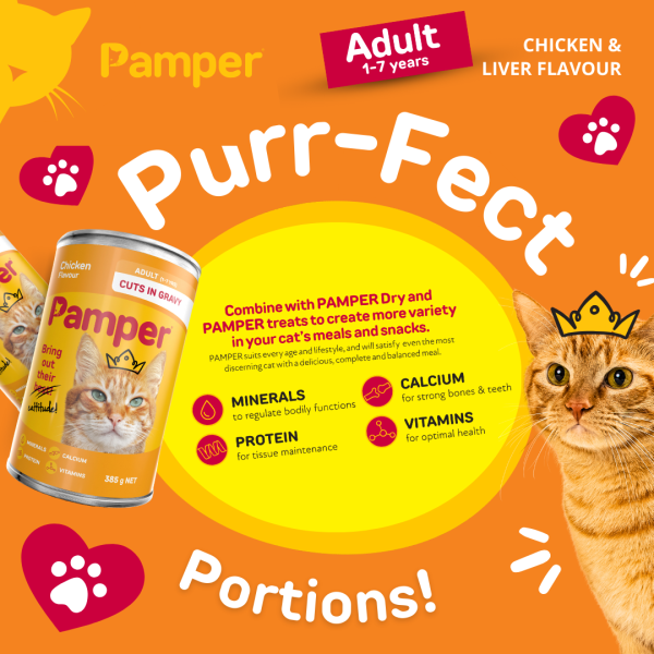 Pamper Chicken Cuts In Gravy Wet Cat Food 385gm X 12 - Image 5