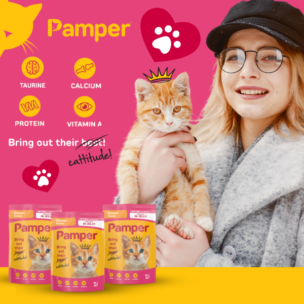 Pamper Kitten Tuna & Chicken in Jelly Wet Cat Food x 6 - Image 3