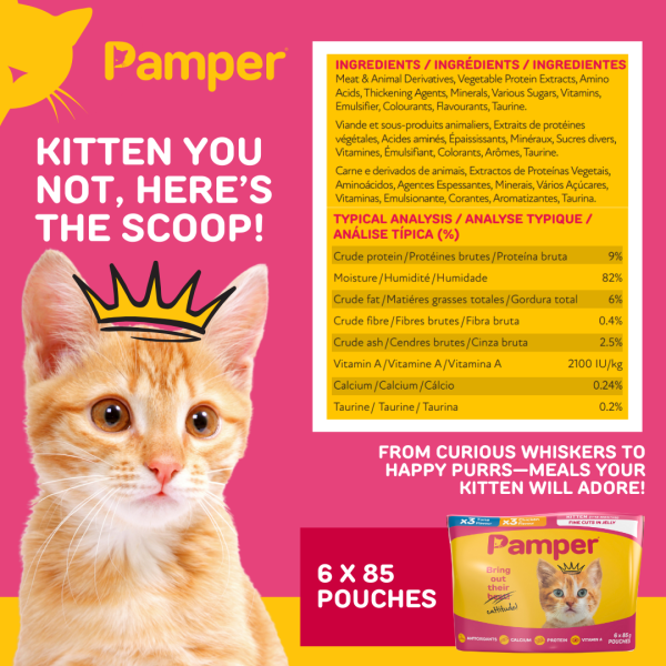 Pamper Kitten Tuna & Chicken in Jelly Wet Cat Food x 6 - Image 4