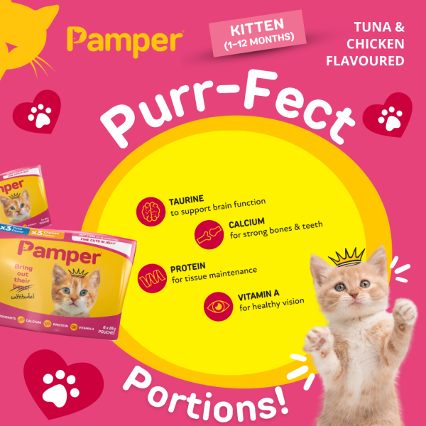 Pamper Kitten Tuna & Chicken in Jelly Wet Cat Food x 6 - Image 5