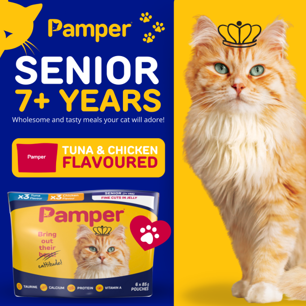 Pamper Senior Tuna and Chicken in Jelly Wet Cat Food x 6 - Image 2