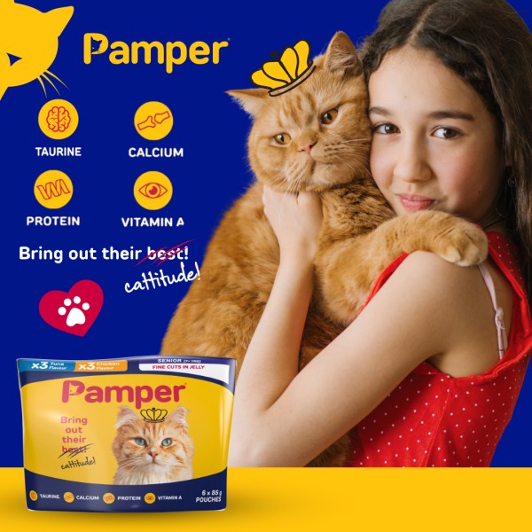 Pamper Senior Tuna and Chicken in Jelly Wet Cat Food x 6 - Image 3