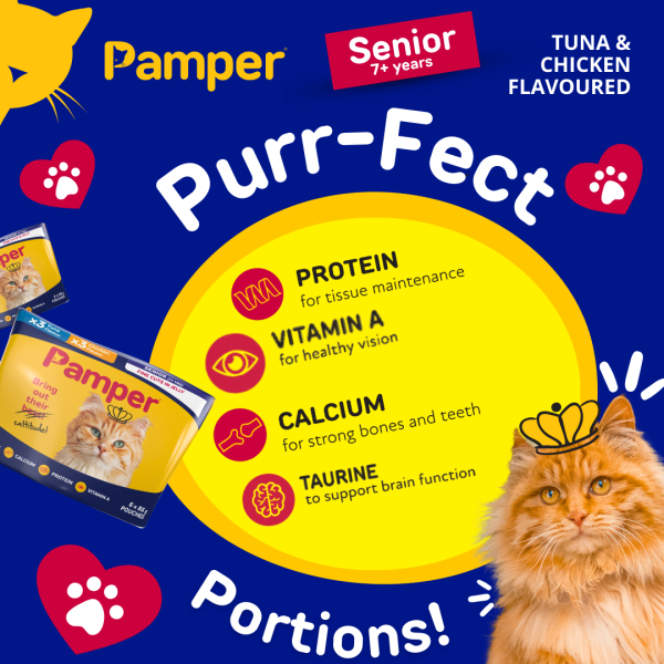 Pamper Senior Tuna and Chicken in Jelly Wet Cat Food x 6 - Image 5