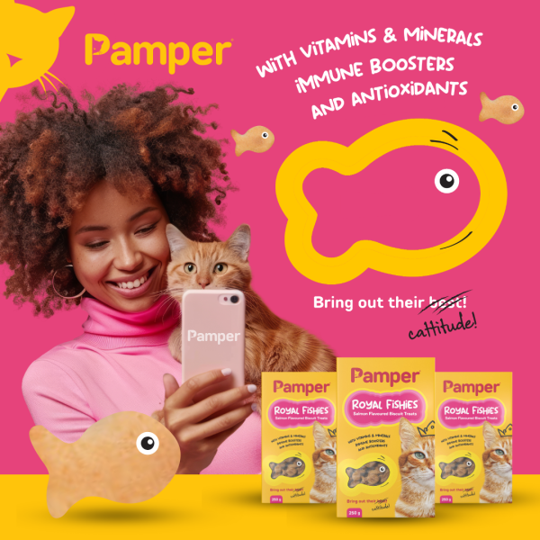 Pamper Royal Fishies Salmon Cat Treats 250gm - Image 3
