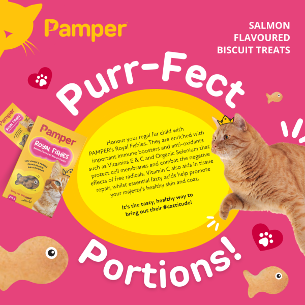 Pamper Royal Fishies Salmon Cat Treats 250gm - Image 5
