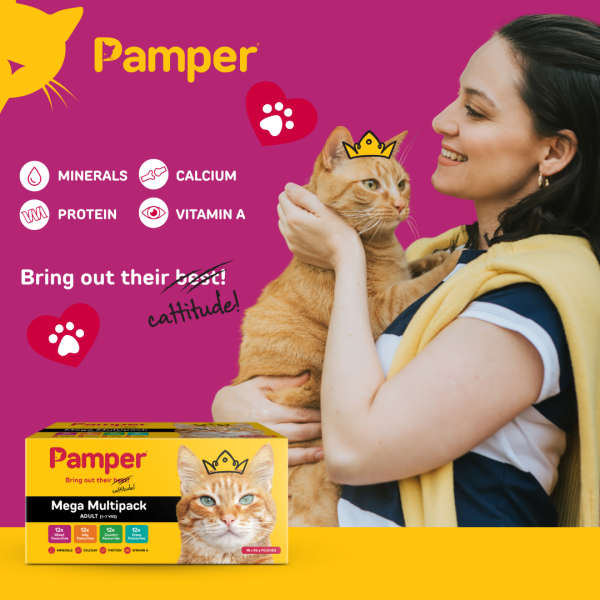 Pamper Fine Cuts Cat Mega Multipack Gravy Favourites 4 x 12 x 85gm - Image 3