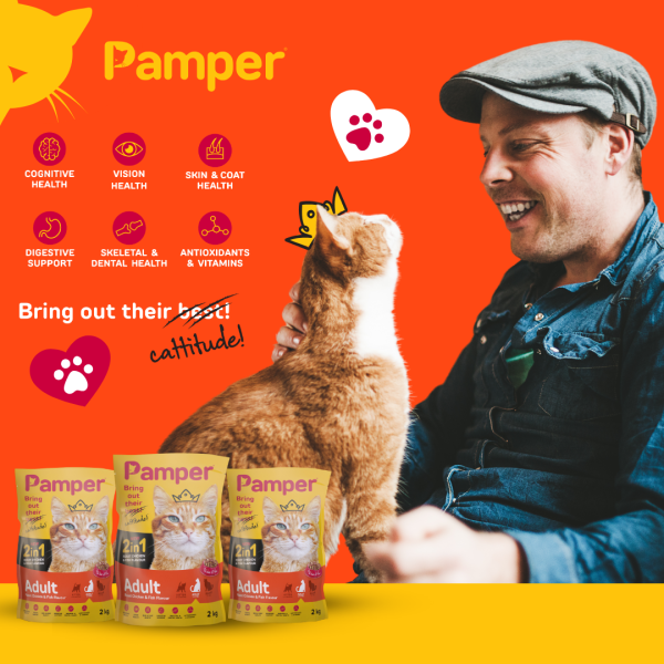 Pamper Dry Cat Food 2 in 1 Roast Chicken & Fish Flavour Adult Dry Cat Food 2kg - Image 3